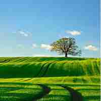 linux运﻿维﻿最‌佳﻿实​践​pdf